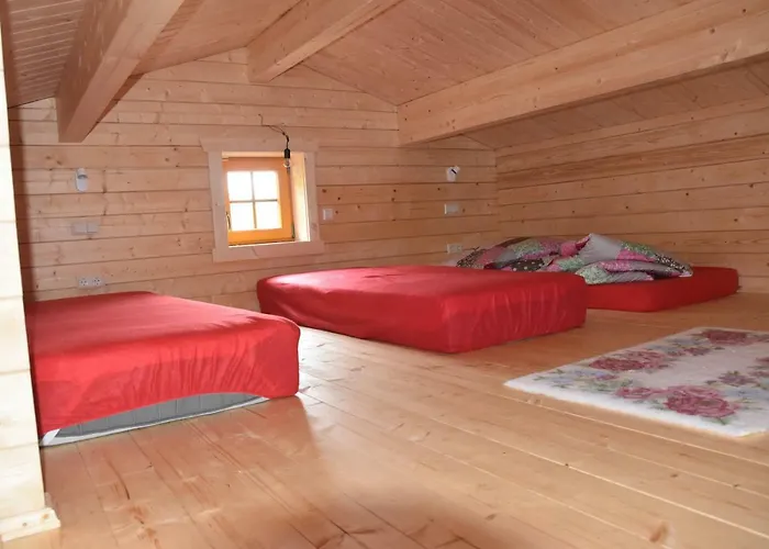 Erzgebirgsholzhaus Am Lugstein بيت للعطل *